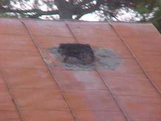 Repair area and closeup of panels