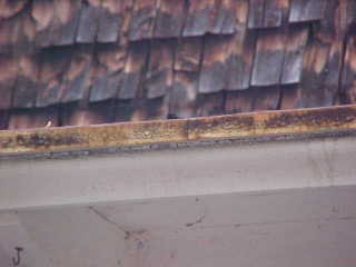 Drip edge is important detail