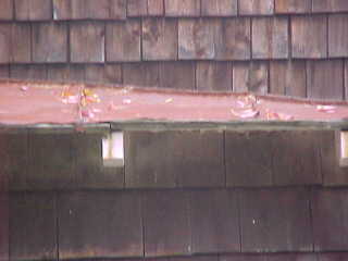Or missing drip edge needs to be added by Roof Menders