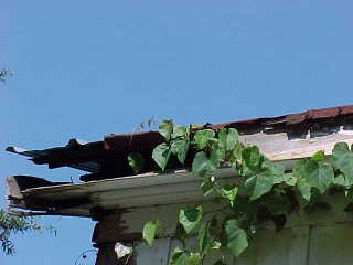 Closeup of corner of adjoining bungalow